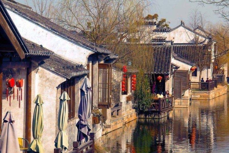 动物帮帮忙保卫家园